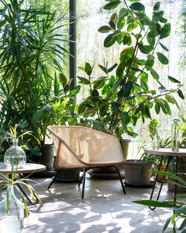 Colony armchair