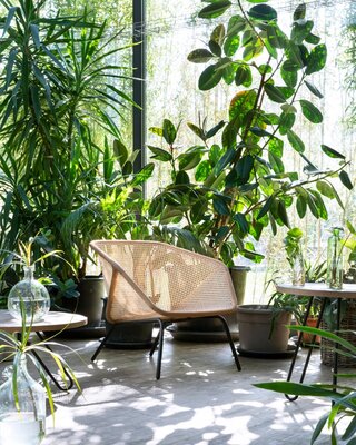 Colony armchair